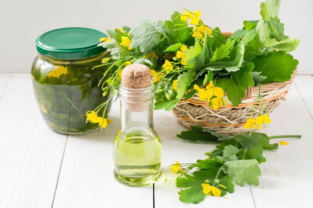 Infuso, olio e celidonia appena raccolta contro i funghi delle unghie dei piedi